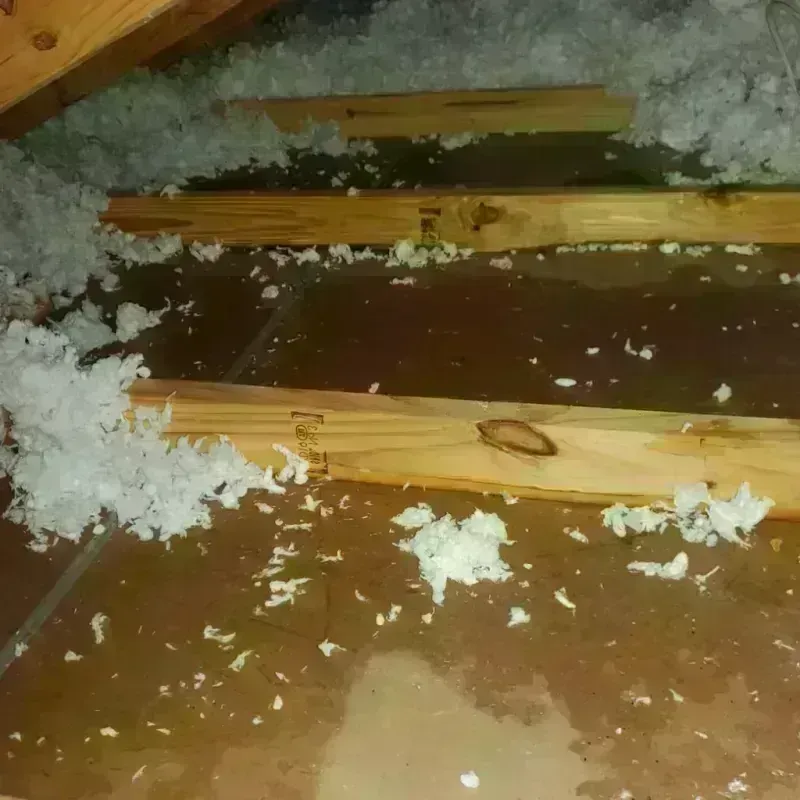 Attic Water Damage in Faulk County, SD